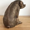 Leonardo Bronze Effect Sitting Pig Ornament Reflections Farm Animals Collection