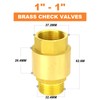 GASHER 1PCS Brass Check Valve DN20 1" Female and Male