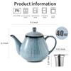 HVH 40 oz Porcelain Teapot with Stainless Steel Infuser, Ceramic