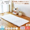 Showa Nishikawa Flat Sheet, Single, 100% Cotton, Made in Japan,