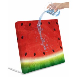 Hokiten Summer Watermelon Outdoor Cushion Chair Cover Set of 2 - Waterproof Couch Seat Covers, Red Green Fruits Watercolor Patio Furniture Protector Cushions Slipcovers for Sofa/Garden/RV, 20"x18"x4"