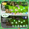 GSrenyu 54 Pack Capybara Resin Animals Stuff, Mini Luminous in