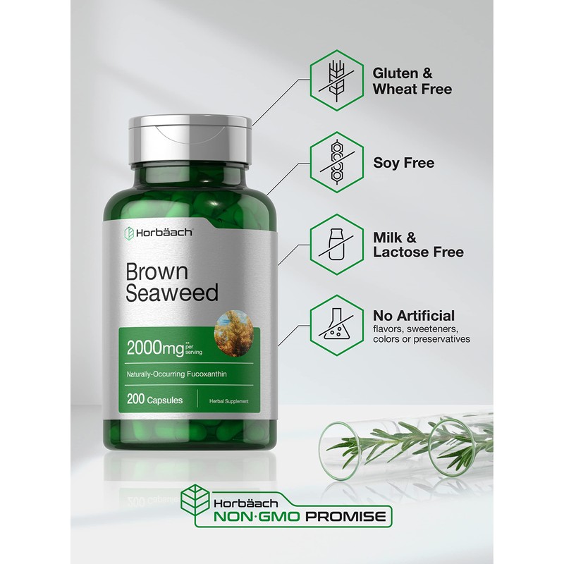 Horbäach Brown Seaweed Extract Capsules 2000mg | 200 Pills |