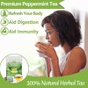 Premium Peppermint Tea Bags, 100 Tea Bags, Made with 100%
