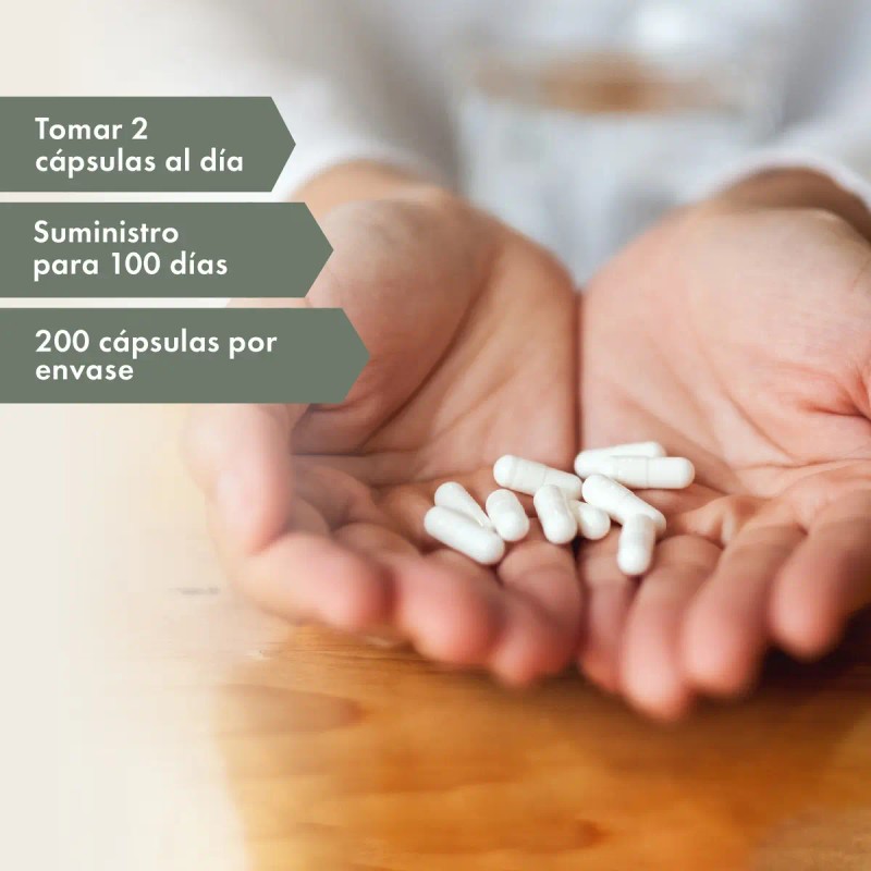 Suplemento Cápsula Newmanity Wellness Minerales Vitaminas Liver 800mg