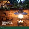 bird Bird Brand Clear Lamp Oil for Indoor & Outdoor