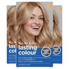 Clairol Lasting Colour Permanent Hair Dye | Perfect Grey Coverage