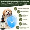 Trachea Cough Elixir, Collapsed Trachea Support for Dogs, Tracheal &