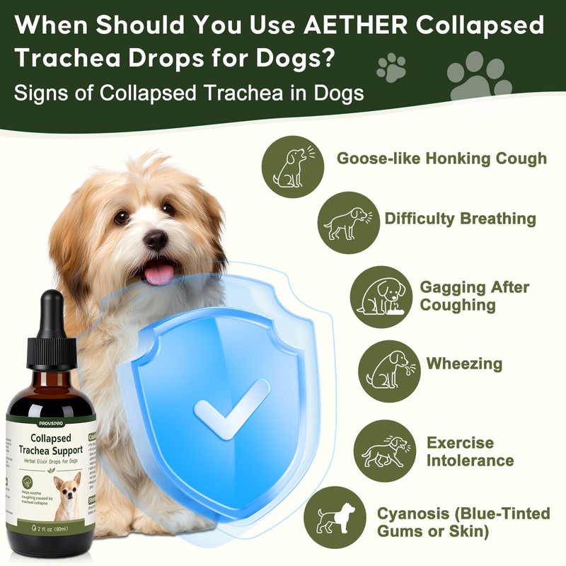 Trachea Cough Elixir, Collapsed Trachea Support for Dogs, Tracheal &