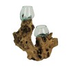 Molten Glass On Root Wood Double Decorative Bowl Vase Plant