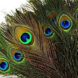 50PCS Natural Peacock Feathers with Eye Peacock Tail Feathers 10-12inch (25-30cm) for Wedding Party Arts And Crafts Home Decorations (Natural Color, 50PCS)