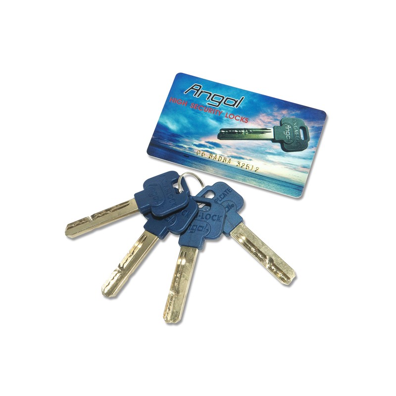 Angal Combo 1-1/8" High Security Cylinder