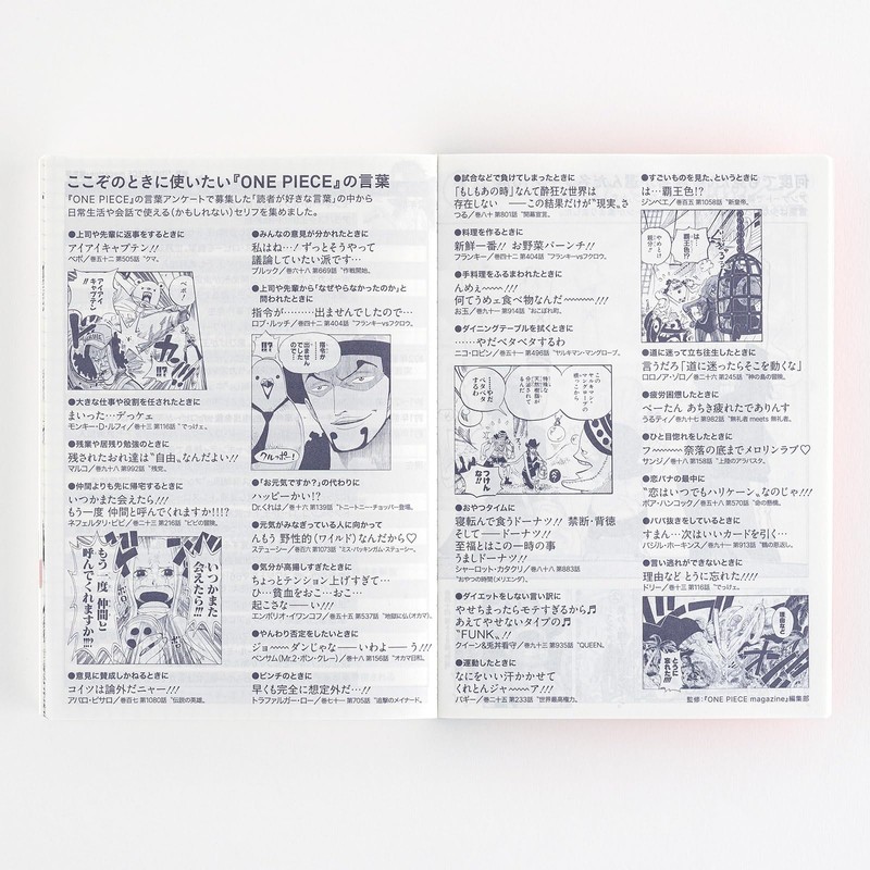 Almost Daily Notebook, 2025 Original (A6) One Piece, Japanese [A6/1