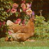 Windscreen4less Outdoor Garden Fence Mesh Netting Roll Temporary Fencing for