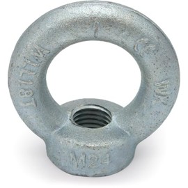 Riggatec Ring Nut DIN 582 M24 Galvanised