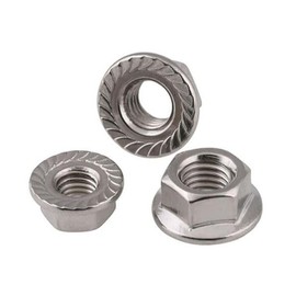 NOLDAR | Hex Nuts with Flange and Locking Toothing DIN 6923. Flange Nuts AISI 304 (A2) Stainless Steel M10 (Pack of 15)
