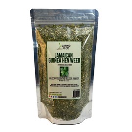 Jamaican Guinea Hen Weed, Wildcrafted Anamu Herb, leaves and stem