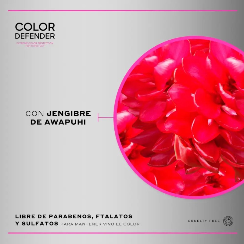 MARTHA DEBYALE HAIR TECH Color Defender Giftset 3 Piezas