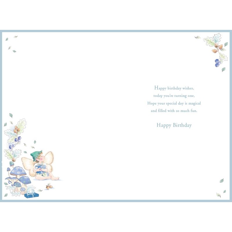 Nephew 1st Birthday Card Age 1 Catkin Pixie 9" x