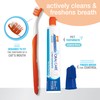 Nylybone Kit Dental Advanced Oral Care Gatos