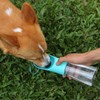 Pet Water Bottle, Water Cup, Leak Proof Portable Dog, Puppy