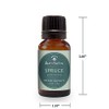 Best of Nature 100% Pure Spruce Essential Oil (0.5 oz)
