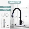 Black and Chrome Kitchen Faucet with Sprayer, WOWOW Stainless Steel