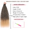 Xtrend Pre Looped Brazilian Braids Curly Crochet Hair 24 Inch