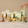 Stash Tea Organic Earl Grey Black Tea, Caffeinated, Non-GMO Project