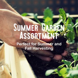 Summer Garden Heirloom Vegetable Seeds - ~5,000+ Total Seeds, 7 Varieties of Seeds to Sow in Summer Months - Beet, Lettuce, Radish, Basil, Cabbage, Cucumber, & Squash Heirloom Seeds for Planting