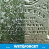 Wet & Forget Outdoor Moss, Mold, Mildew, & Algae Stain