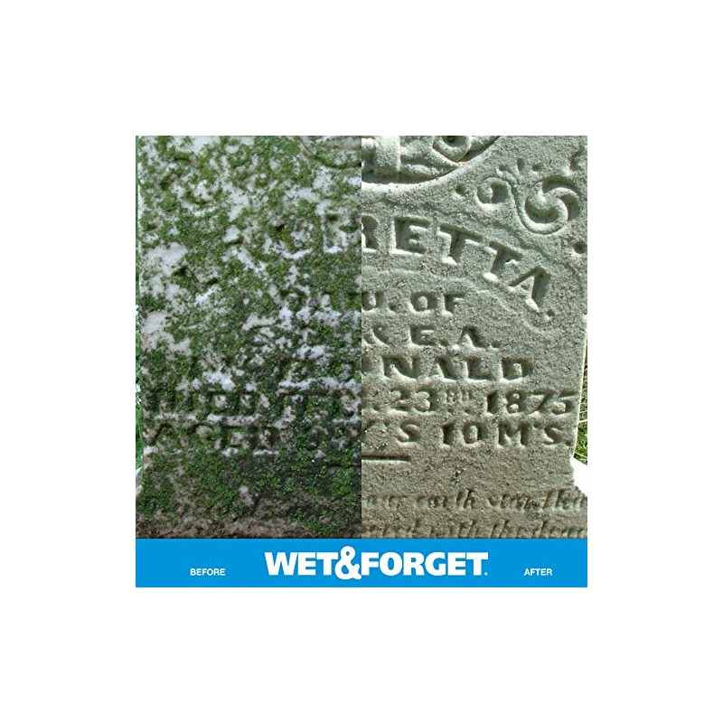 Wet & Forget Outdoor Moss, Mold, Mildew, & Algae Stain