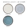East Table Plate LL 9.8 inches (25 cm) Rim Tokusa