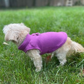 JACKO & CO - Fleece Vest Dog Sweater with Leash Ring - Soft, Warm & Lightweight Pullover Coat for Small & Medium Dogs, Puppies & Cats - Cozy Fall/Winter/Spring Pet Jacket (Purple, Medium 6-10lbs)