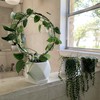 Acrux7 10 Pcs Circle Trellis for Climbing Plants Indoor Small