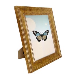 Aryllis 10x8 Photo Frame (25.4cm x 20.32cm), Antique Gold, Freestanding & Wall Mountable Picture Frame for 10x8 Prints