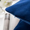 Phantoscope Pack of 2 Velvet Decorative Throw Pillow Covers Soft