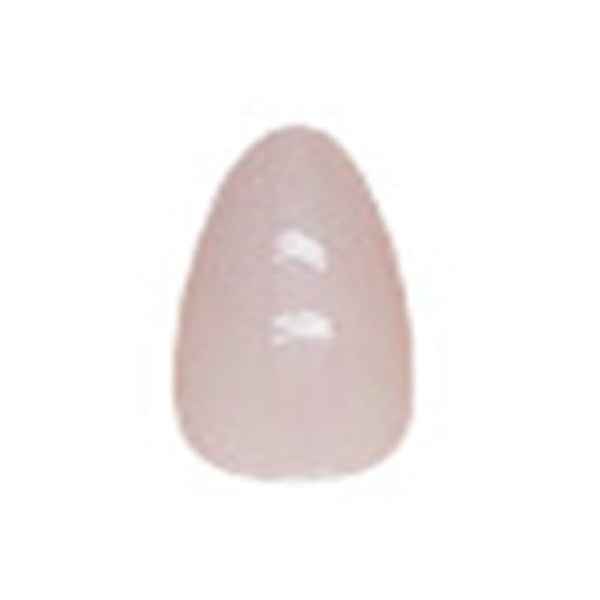 270Pcs Press on Toenails French Tips Toe Nail Press ons