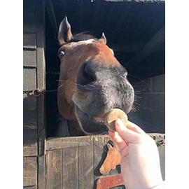 Premier Performance CZ Calming Powder - 15 Servings