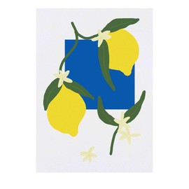 'Lemons And Leaves' Temporary Tattoo - Water Resistant, Skin-Safe, Non-Toxic Transfer (TO00073149)