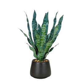 D&W Silks Snake Plant in Black Cement Pot