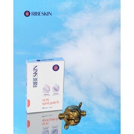 리베스킨 에스오에스 스팟 패치 총 138매 RIBESKIN SOS Spot Patch Total 138 Sheets