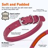 Dogline Soft and Padded Rolled Round Leather Collar for Dogs