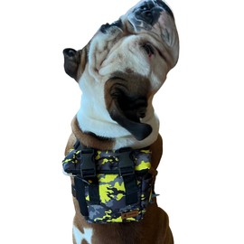 PawLook Dog Backpack to Wear with Chest Harness Self Carrier dogbag with Additional Pocket for Poop Bag Anti Slip Stylish Dog Bag for Your pet Camouflage Serie Yellow, Two