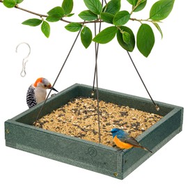 Kingsyard Platform Mealworm Bird Feeder for Outside, Recycled Plastic Hanging Tray Bird Feeders with Large Capacity 3.5 lbs, Premium Quality & Durable, Great for Attracting Wild Birds, Green