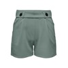 JdY Women's Jdygeggo JRS Noos Shorts, Chinois Green/Detail:black Button, L