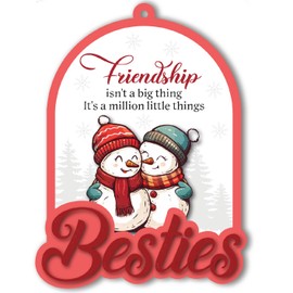 BlinkWishes Friend Christmas Ornament, Friendship Ornament for Women, Best Friends Christmas Keepsake, Xmas Gift for Best Friend, Bestie, BFF, Soul Sister, Holiday Decor