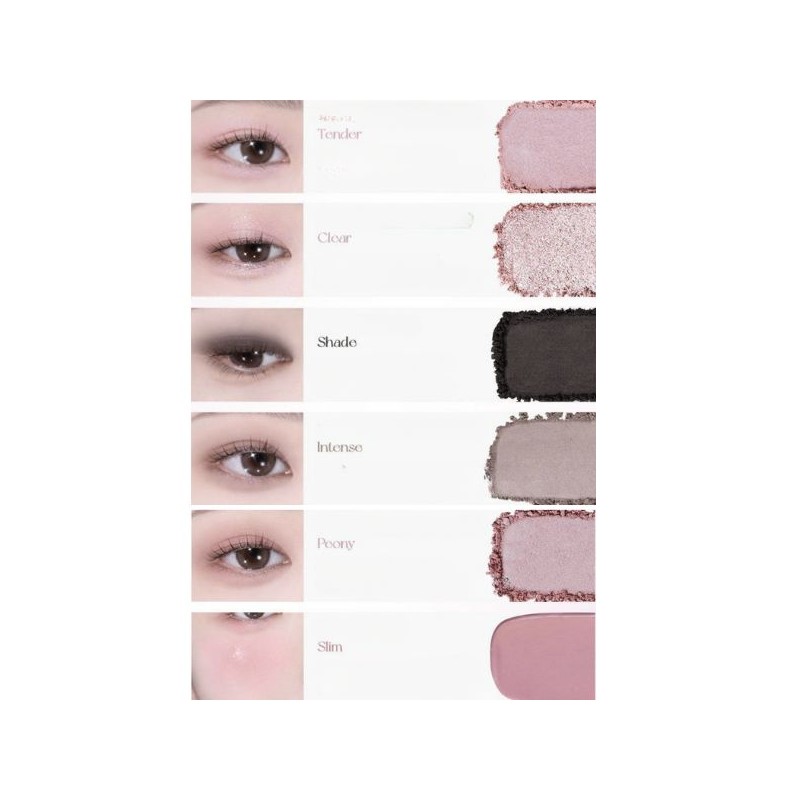 WAKEMAKE Soft Sheer Multi Palette& Brush Special Set 2items [Limited],