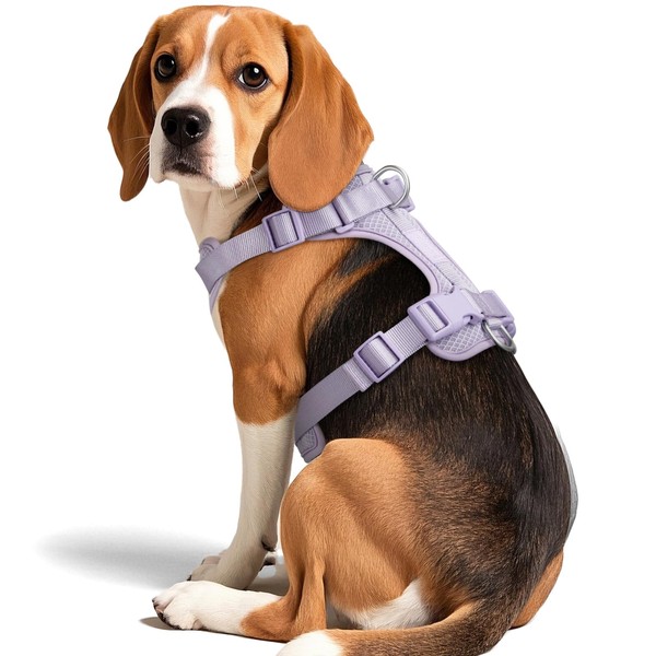 Wisedog Mesh Breathable Dog Harness: No Pull Harness with 3