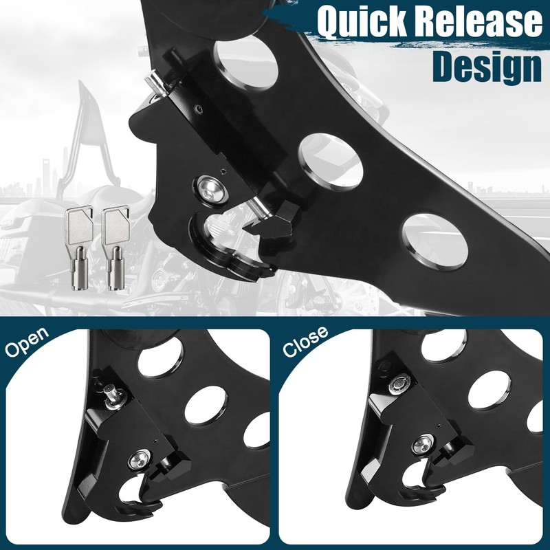 DSISIMO Detachable Passenger Backrest Sissy Bar With Locked Rotary Docking